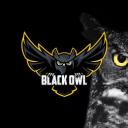 The Black Owl Small Banner