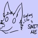 furry_not_irl Small Banner