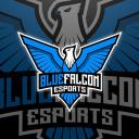 Blue Falcon Esports Small Banner