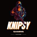 Knipsy Gaming Small Banner