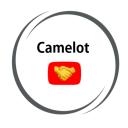 The Camelot Alliance Small Banner